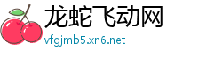 龙蛇飞动网